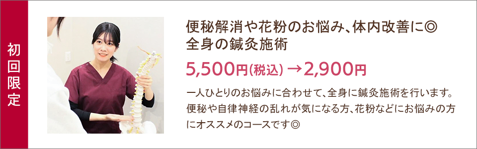 便秘解消や花粉のお悩み、体内完全に 全身の鍼灸施術 2,900円